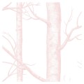 Tapeta drzewa White pink detal 2.jpg
