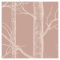 Tapeta drzewa Light brown detal 2.jpg