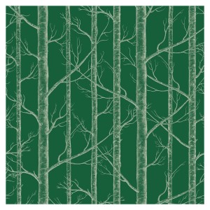 Tapeta Las w Drzewach - Bottle Green