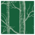 Tapeta drzewa Bottle green detal 2.jpg