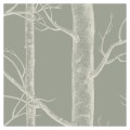 Tapeta drzewa Olive detal 2.jpg
