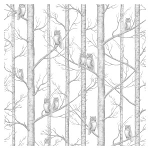 Tapeta Sowy w Drzewach - White