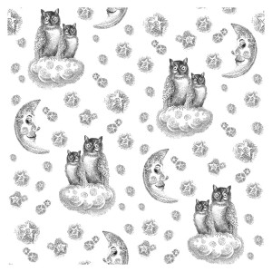 Tapeta Sowy Nocą - White