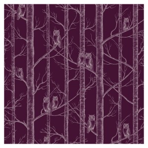 Tapeta Sowy w Drzewach - Eggplant