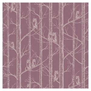 Tapeta Sowy w Drzewach - Plum