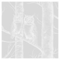 Tapeta sowy Light Grey detal 2.jpg
