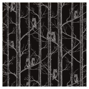 Tapeta Sowy w Drzewach - Black