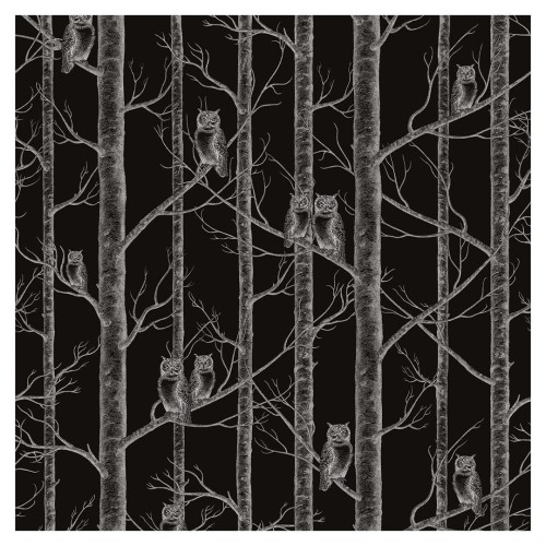 Tapeta sowy Black detal 1.jpg
