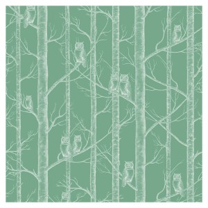 Tapeta Sowy w Drzewach - Green