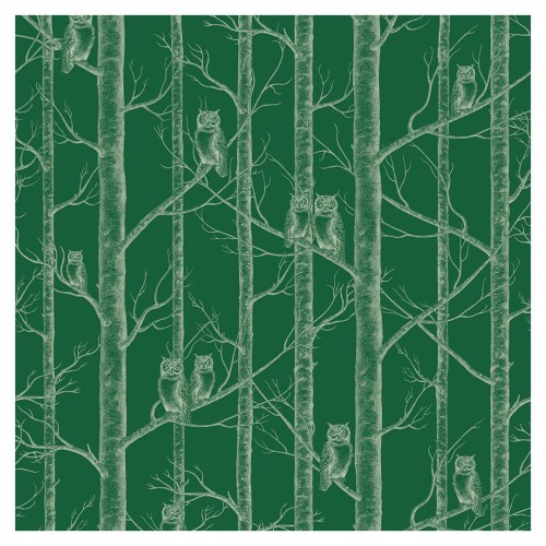Tapeta sowy Bottle Green detal 1.jpg
