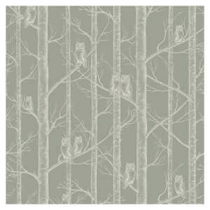 Tapeta Sowy w Drzewach - Olive