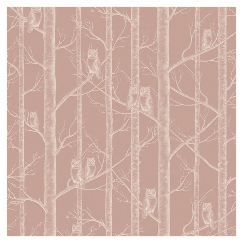 Tapeta sowy Light Brown detal 1.jpg