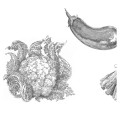 Panel Warzywa - White 4 - Detal 1.jpg