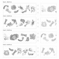 Panel Warzywa - White - Wzor 2.jpg