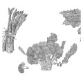 Panel Warzywa - White 2 - Detal 1.jpg
