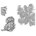 Panel Warzywa - White 3 - Detal 1.jpg